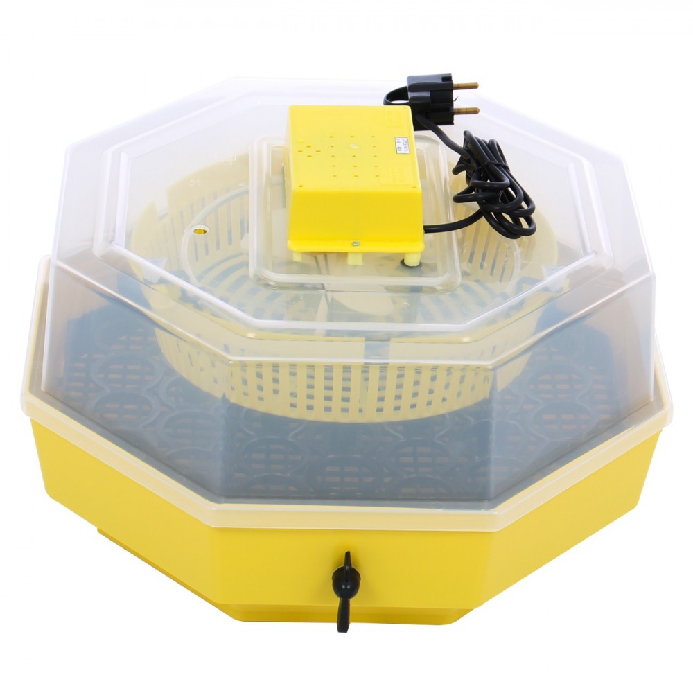 Incubator CLEO 5D cu cheie